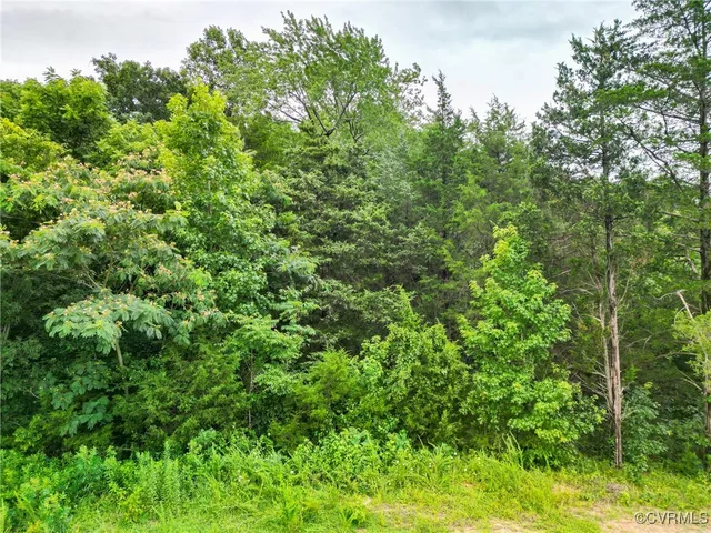 $650,000 | 23935 Prince Edward Highway, Rice, VA 23966