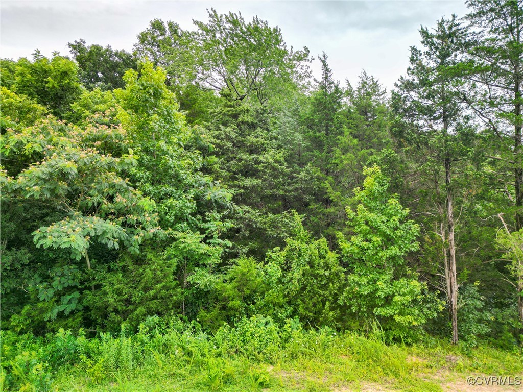 23935 Prince Edward Highway Rice, VA 23966 - Photo 22 of 27