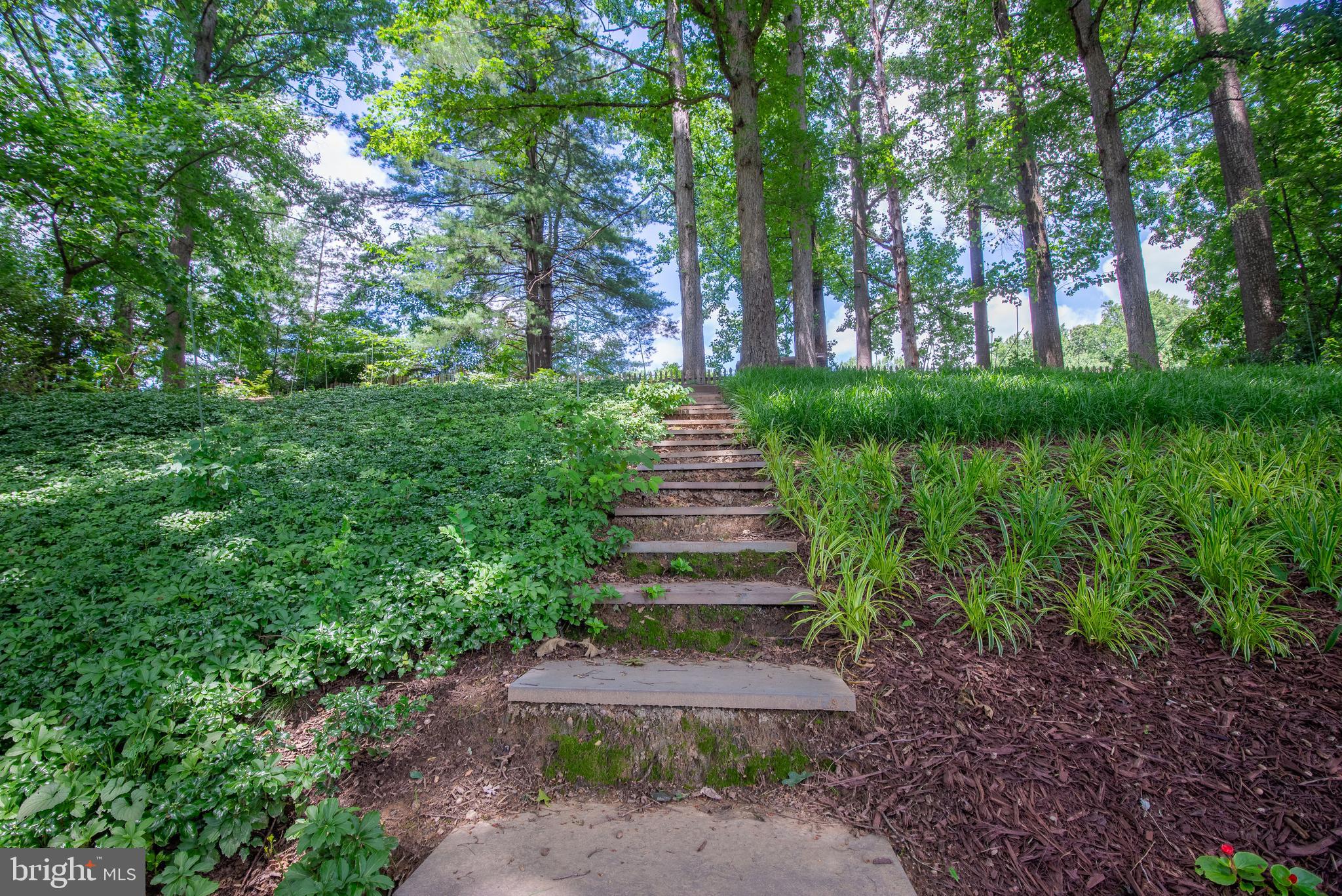 2216 Hidden Valley Lane Silver Spring, MD 20904 - Photo 59 of 64 Backyard
