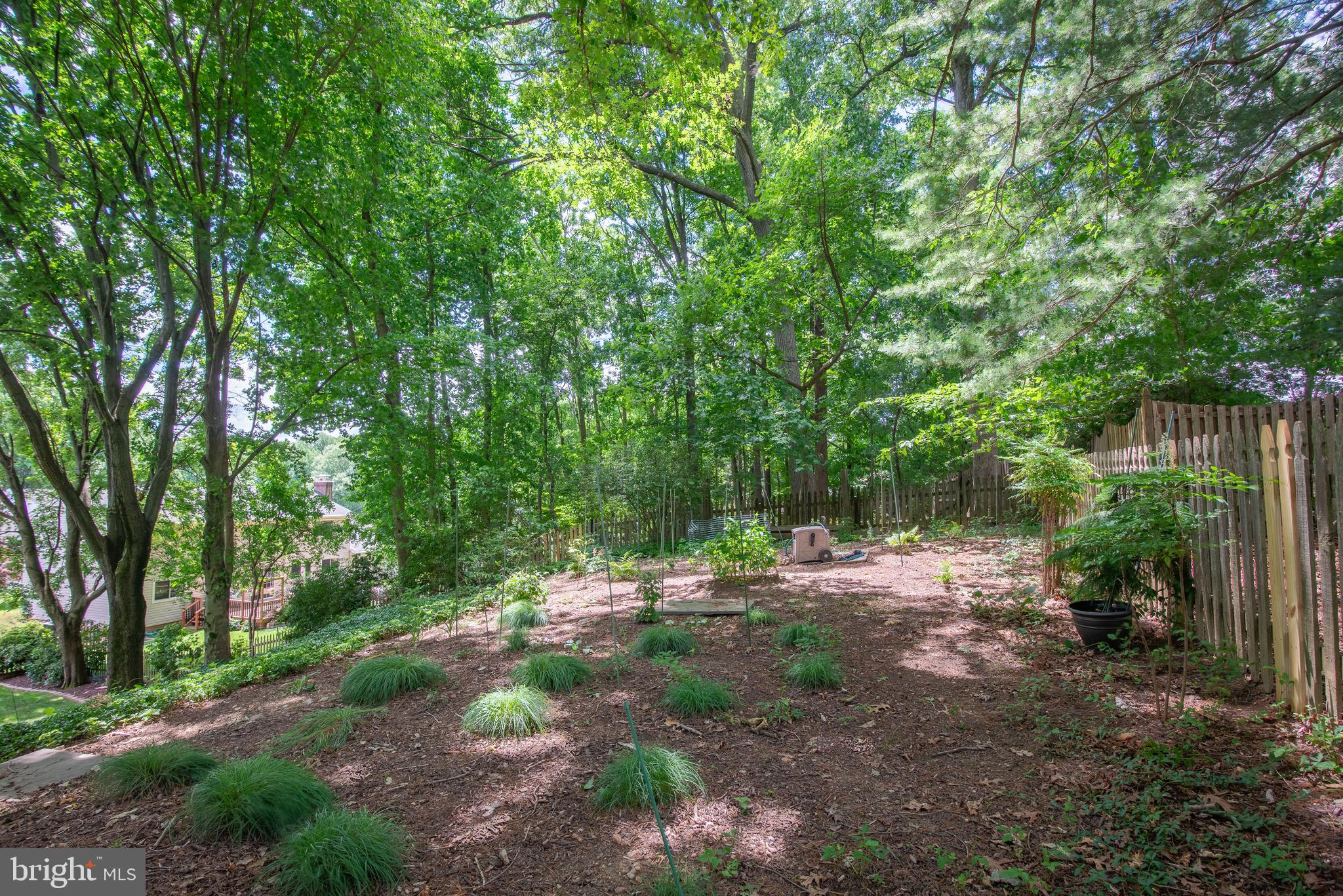 2216 Hidden Valley Lane Silver Spring, MD 20904 - Photo 60 of 64 Backyard