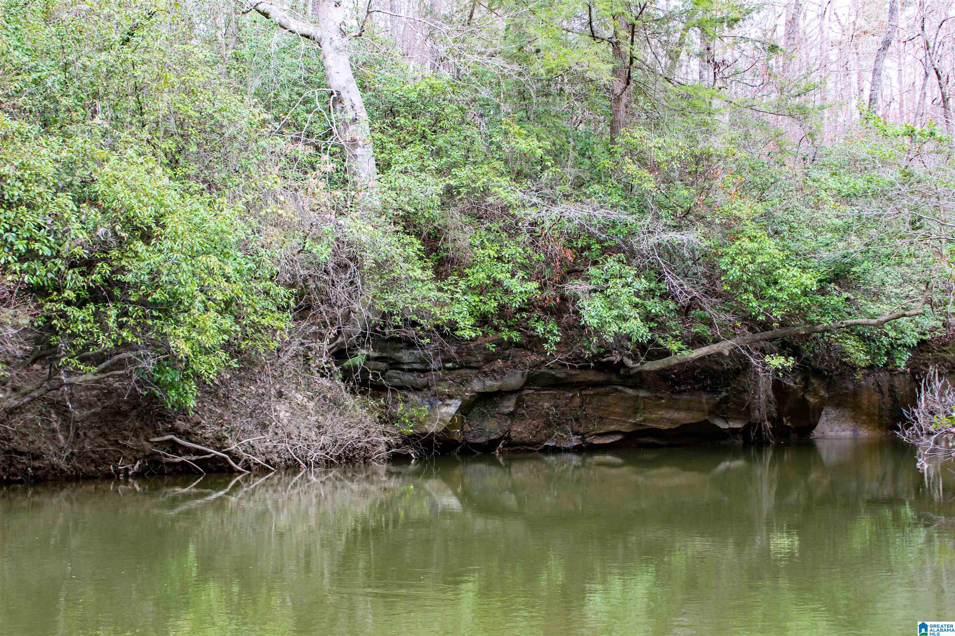339 County Road Nauvoo, AL 35578 - Photo 7 of 57