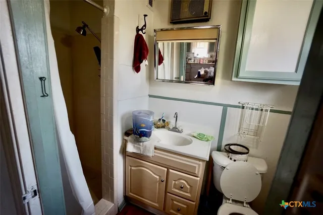 a bathroom with a sink and toilet