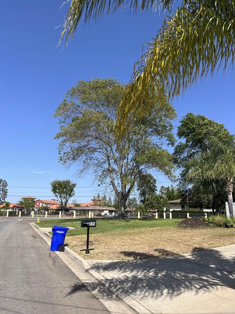 238 Lakeview Avenue Spring Valley, CA 91977 - Photo 7 of 60