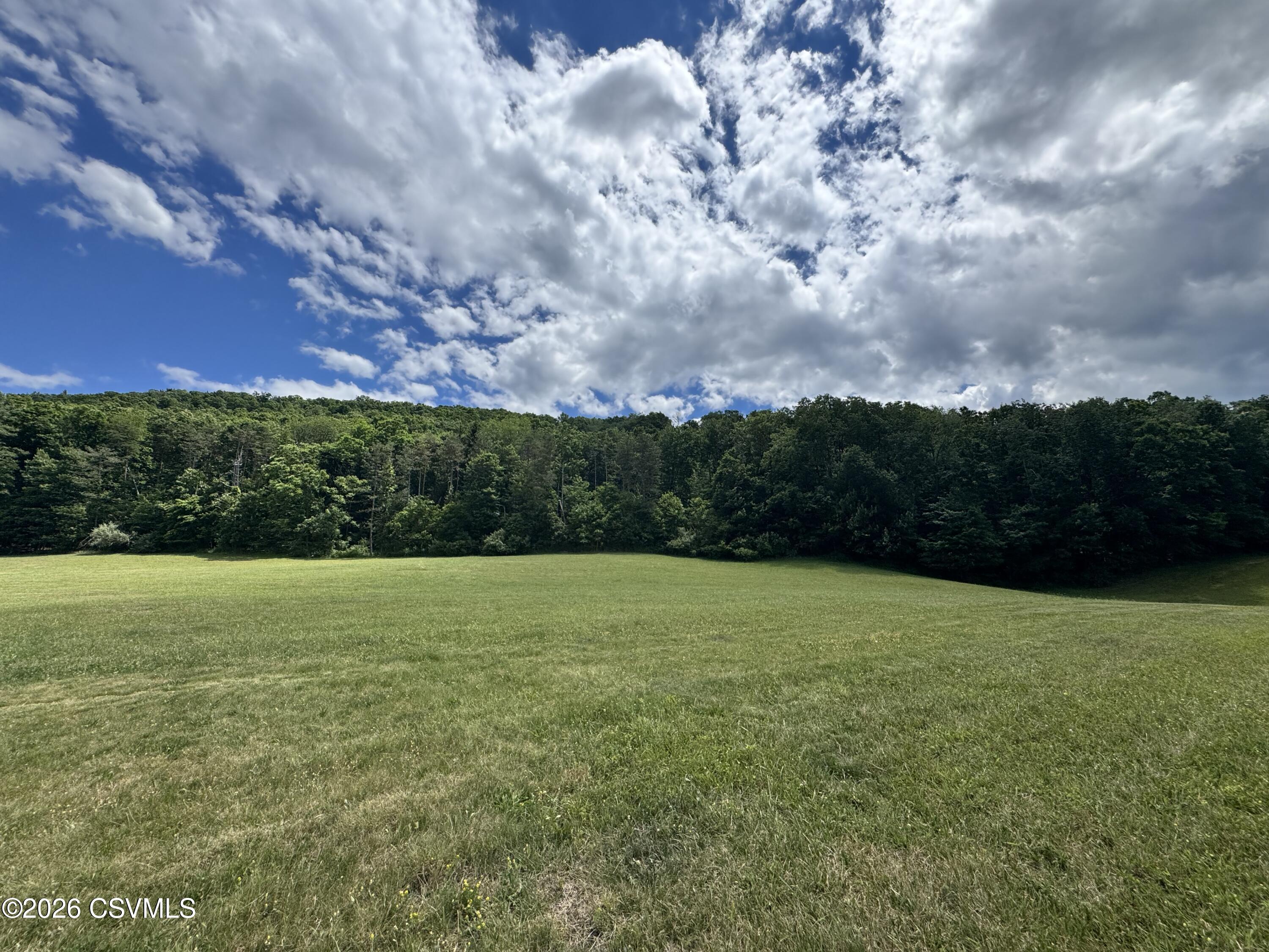Lot #5 Old Reading Road Sunbury, PA 17801 - Photo 3 of 4