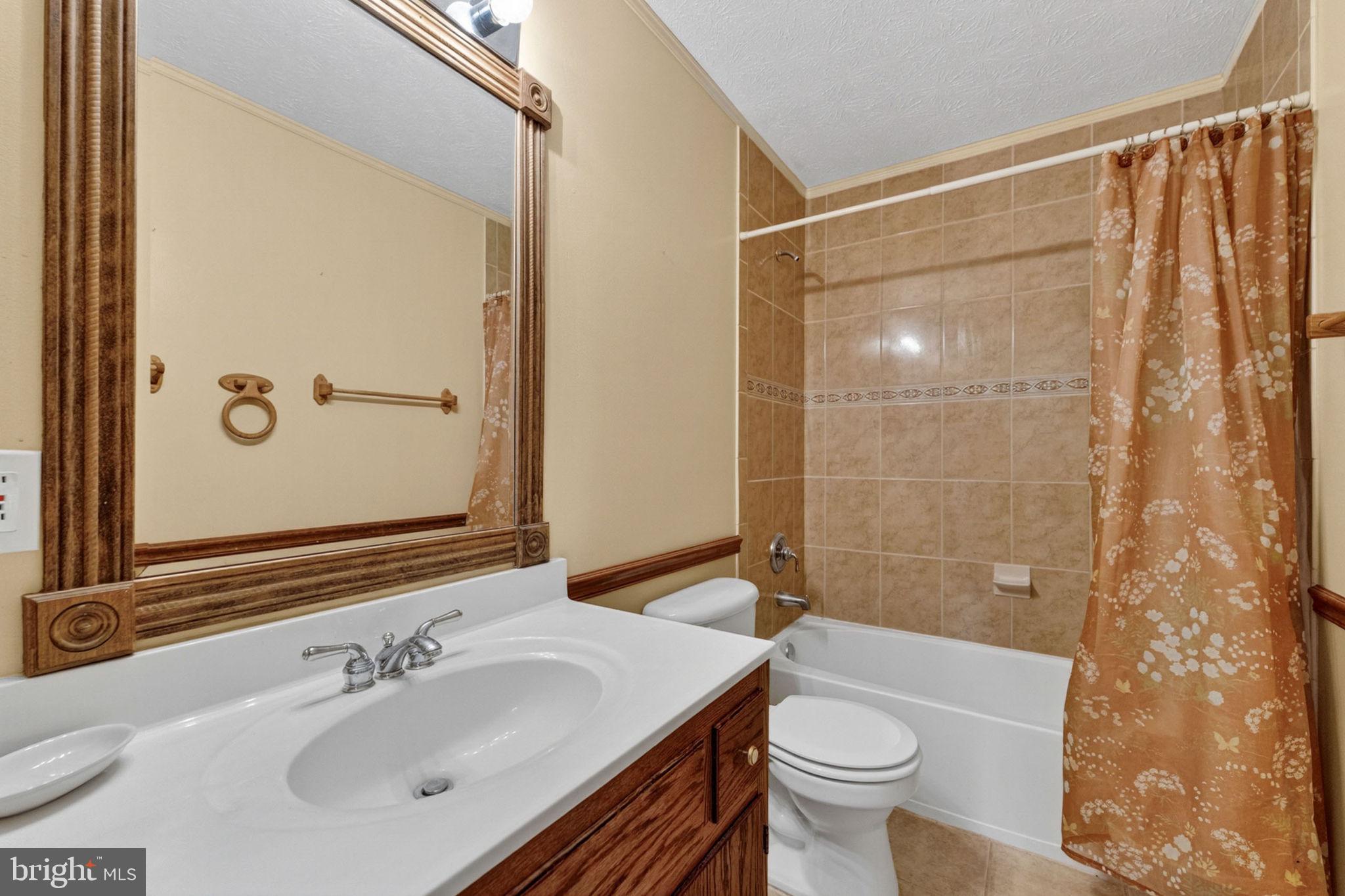 6315 Ida Road Stanley, VA 22851 - Photo 54 of 83 Full Bathroom