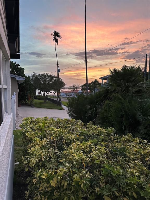 315 Sunburst Court Clearwater, FL 33755 - Photo 1 of 23 a view of a garden with a lake view
