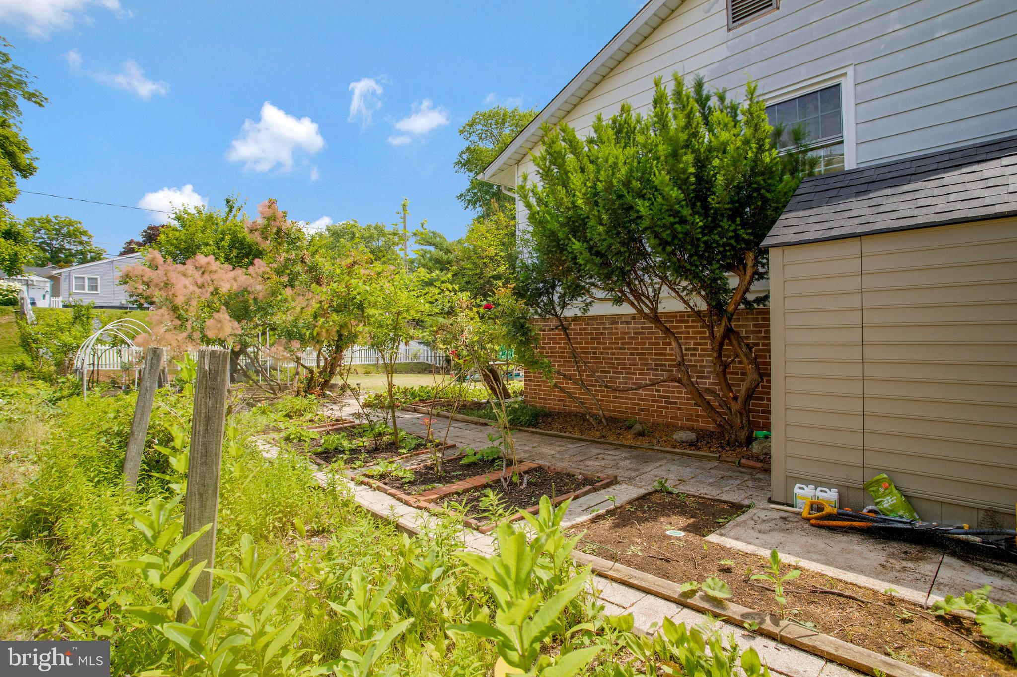 904 Crestwick Road Towson, MD 21286 - Photo 34 of 40 Rose Bushes & Storage Shed