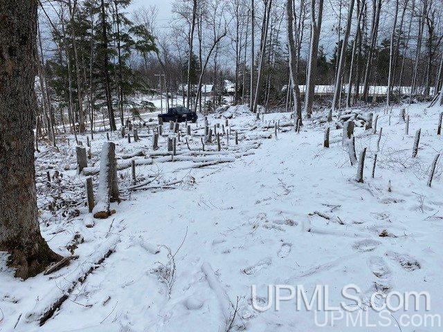 Tbd Tbd Northwoods Road Marquette, MI 49855 - Photo 21 of 31