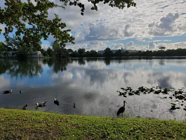 $195,000 | 120 Royal Park Drive, Unit 4B, Oakland Park, FL 33309