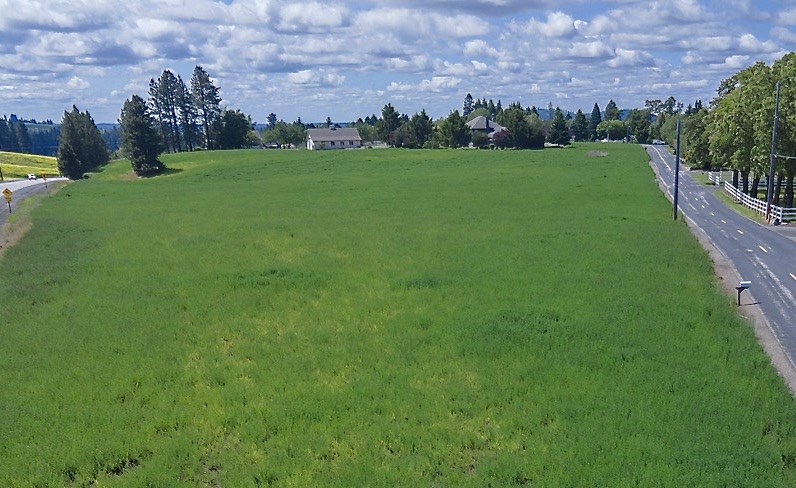 6317 South Waneta Approx Road Spokane, WA 99223 - Photo 3 of 20
