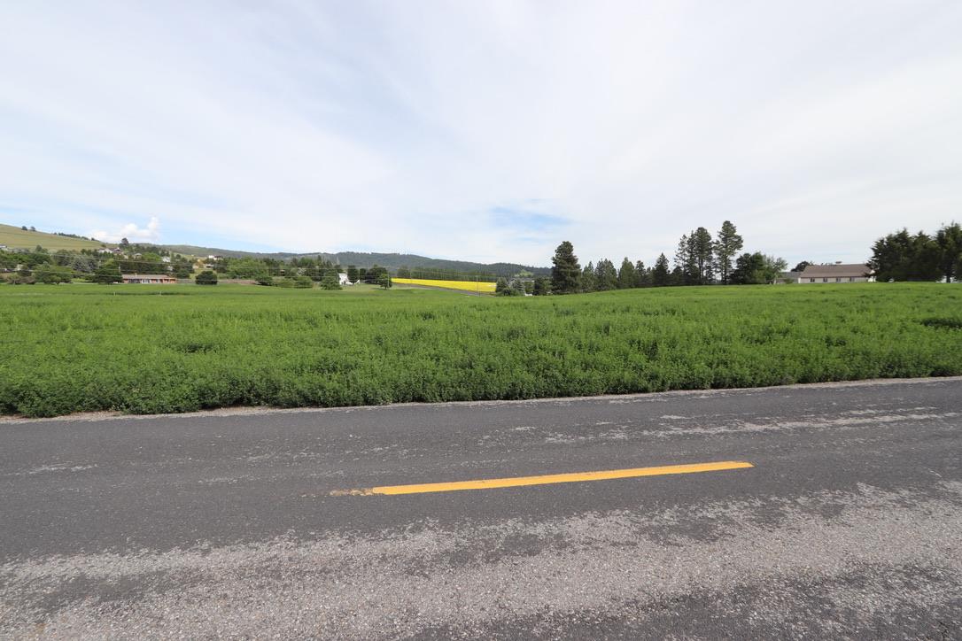 6317 South Waneta Approx Road Spokane, WA 99223 - Photo 4 of 20