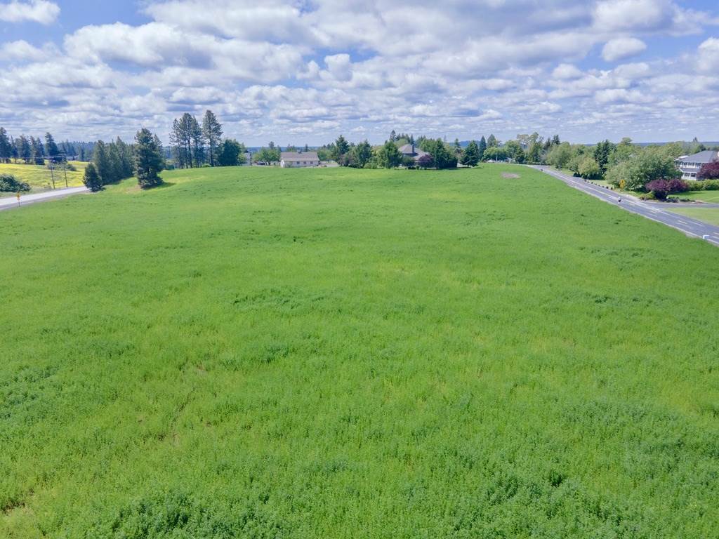6317 South Waneta Approx Road Spokane, WA 99223 - Photo 9 of 20