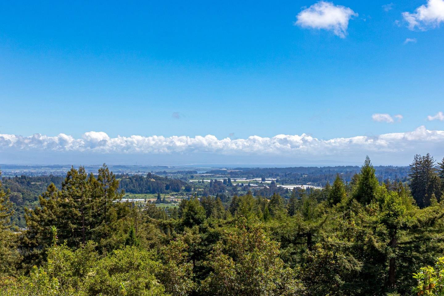1081 Avocado Road Watsonville, CA 95076 - Photo 4 of 66