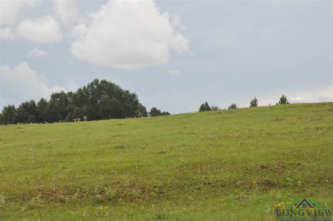 County Rd County Road Gary City, TX 75643 - Photo 3 of 10 Gallery Image 3