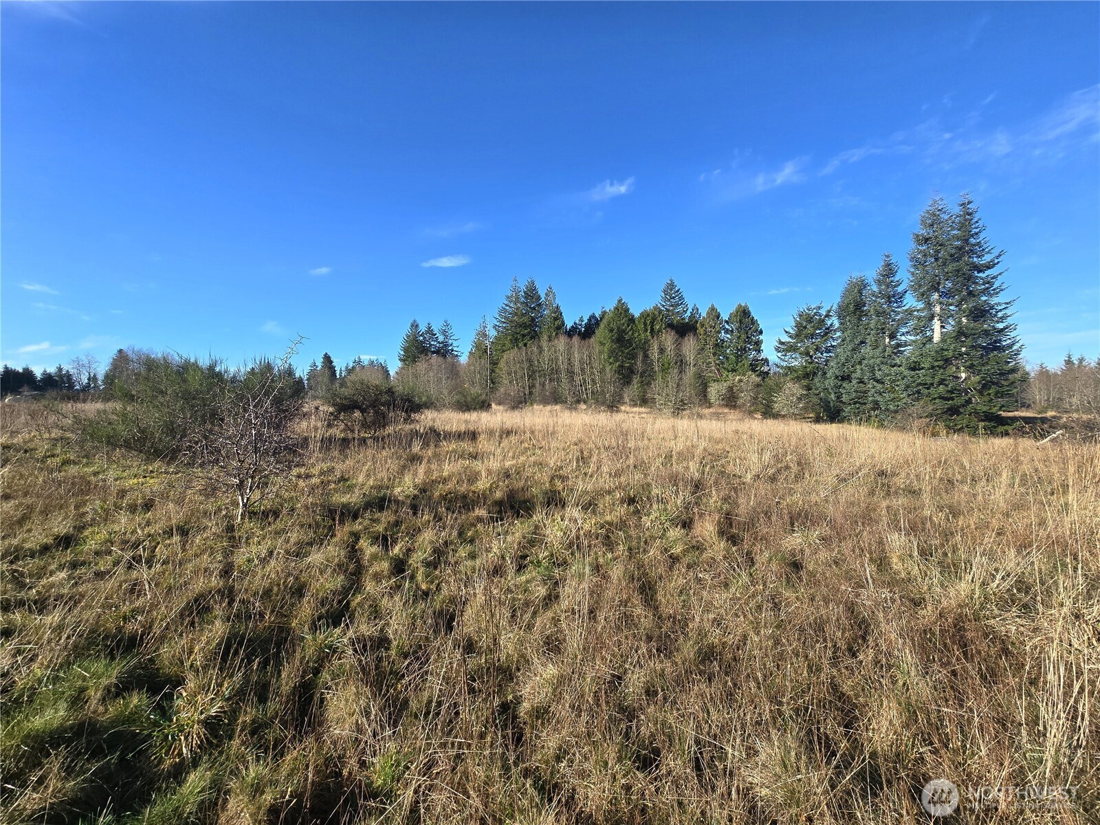 0 Garden Hill Road East Elma, WA 98541 - Photo 5 of 11 Gallery Image 5