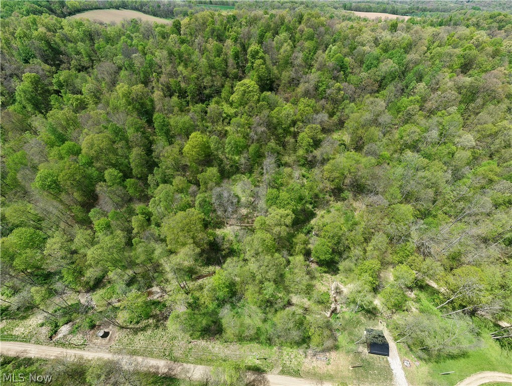 423 Township Road Walhonding, OH 43843 - Photo 12 of 41