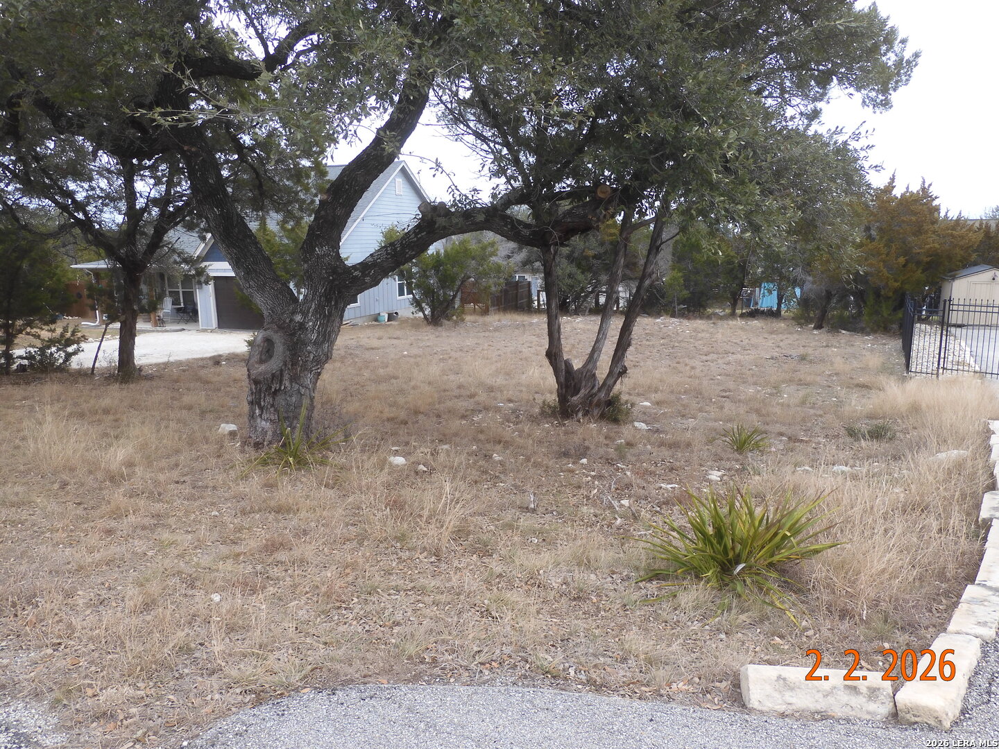 974 Live Oak Drive Spring Branch, TX 78070 - Photo 3 of 7 a view of a yard with a tree
