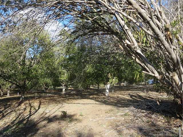 Unk Big Oak Ranch Road Fallbrook, CA 92028 - Photo 11 of 13