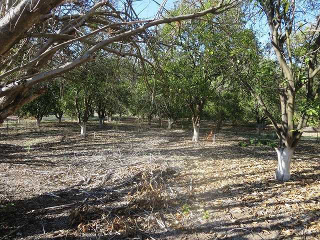 Unk Big Oak Ranch Road Fallbrook, CA 92028 - Photo 5 of 13