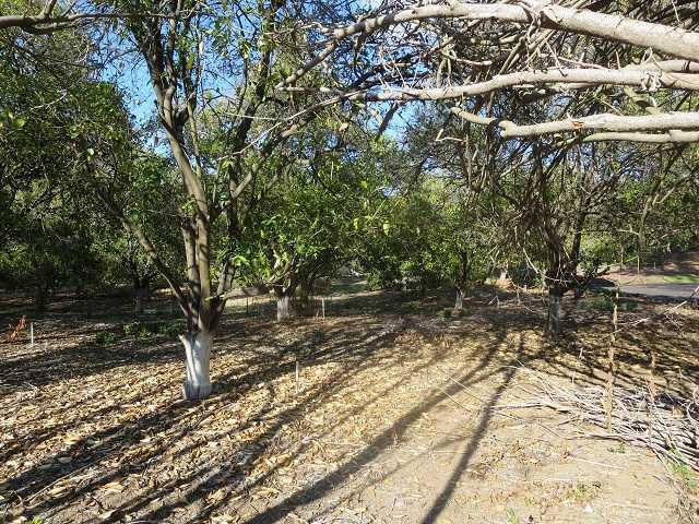 Unk Big Oak Ranch Road Fallbrook, CA 92028 - Photo 6 of 13