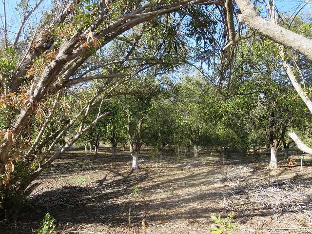 Unk Big Oak Ranch Road Fallbrook, CA 92028 - Photo 7 of 13