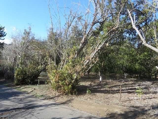 Unk Big Oak Ranch Road Fallbrook, CA 92028 - Photo 8 of 13