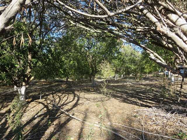 Unk Big Oak Ranch Road Fallbrook, CA 92028 - Photo 9 of 13