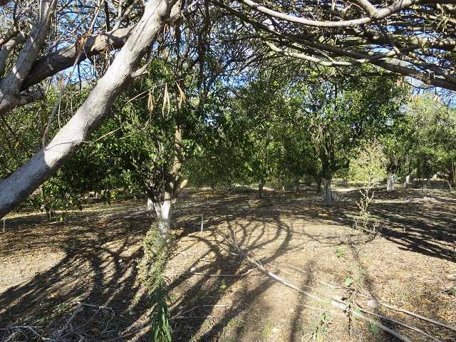 Unk Big Oak Ranch Road Fallbrook, CA 92028 - Photo 10 of 13