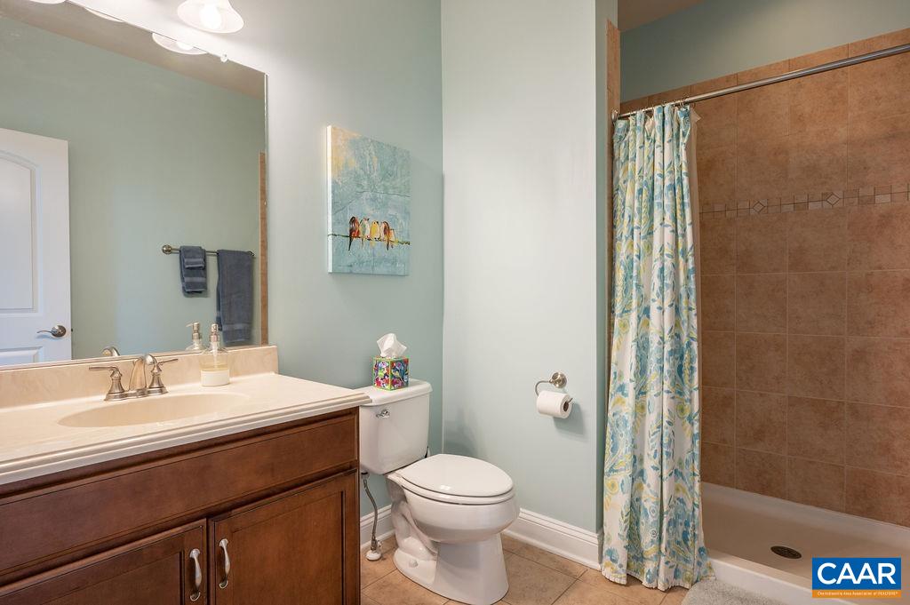 2706 Lockerbie Lane Keswick, VA 22947 - Photo 28 of 55 a bathroom with a sink a toilet and shower
