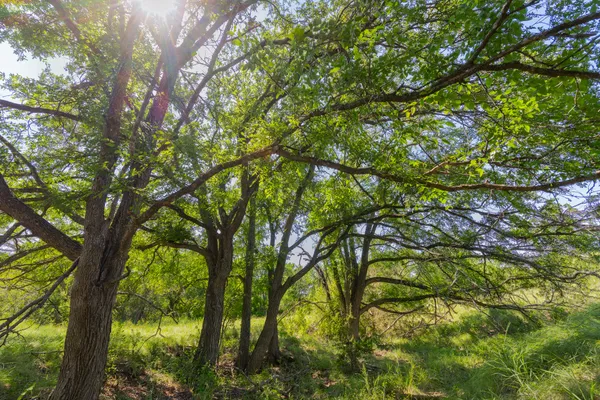 $206,250 | 180 Covered Meadows Ranch Road, Purmela, TX 76566