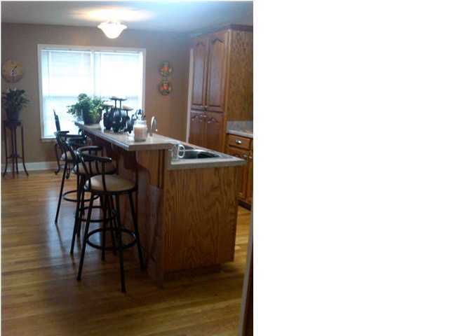 1045 County Rd 202 Rainsville, AL 35986 - Photo 12 of 14 Additional Photo