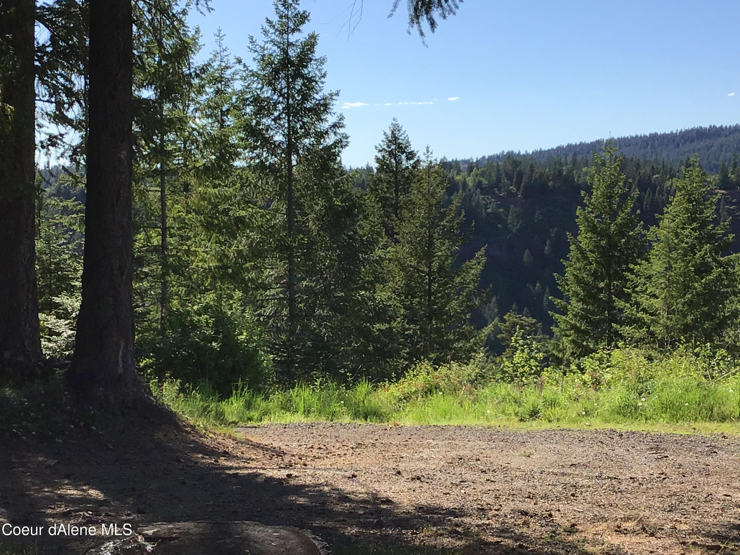 4-5 South Rufus Trail St. Maries, ID 83861 - Photo 11 of 13 Access road