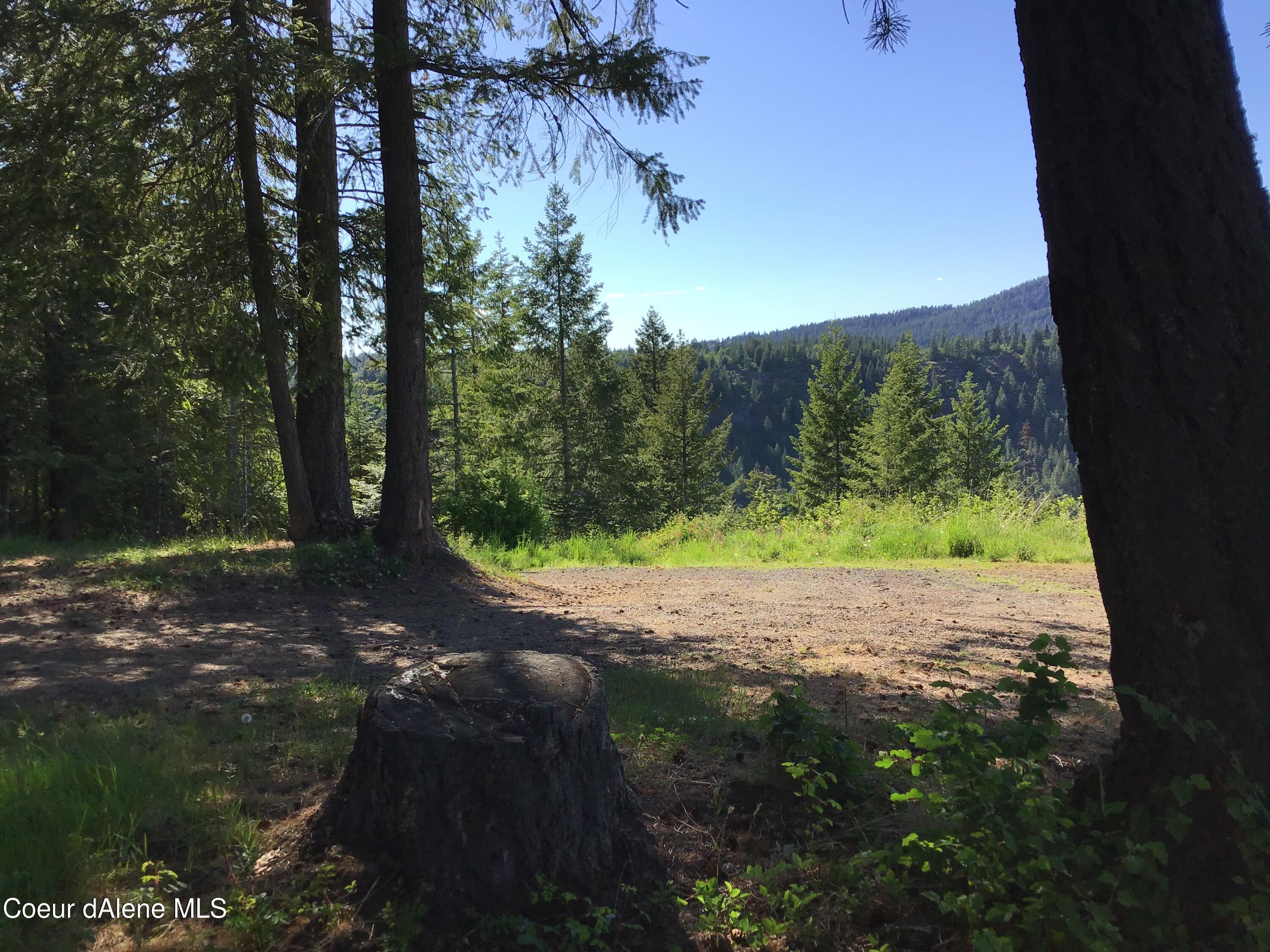 4-5 South Rufus Trail St. Maries, ID 83861 - Photo 12 of 13 Access road