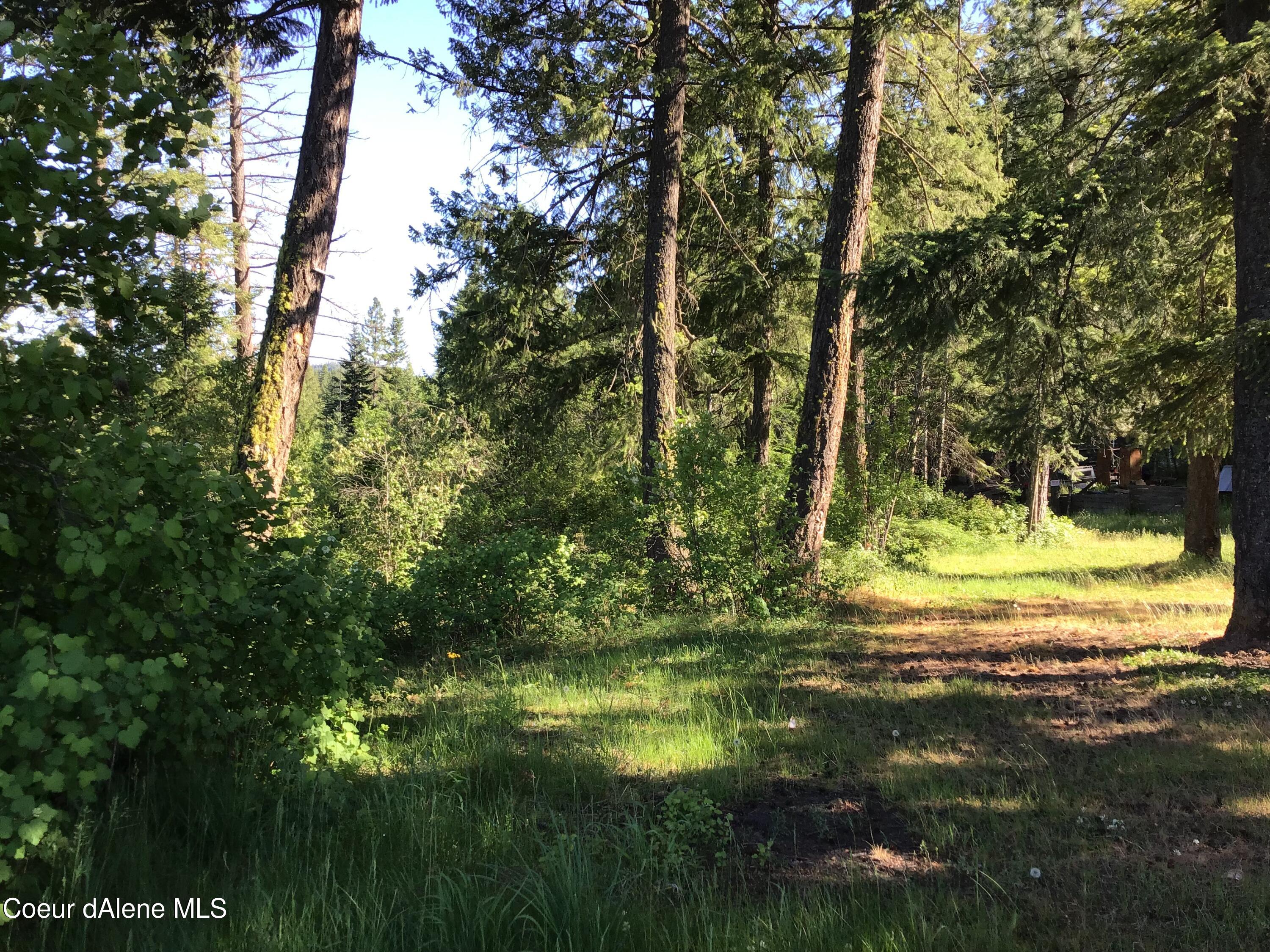 4-5 South Rufus Trail St. Maries, ID 83861 - Photo 13 of 13 Property views