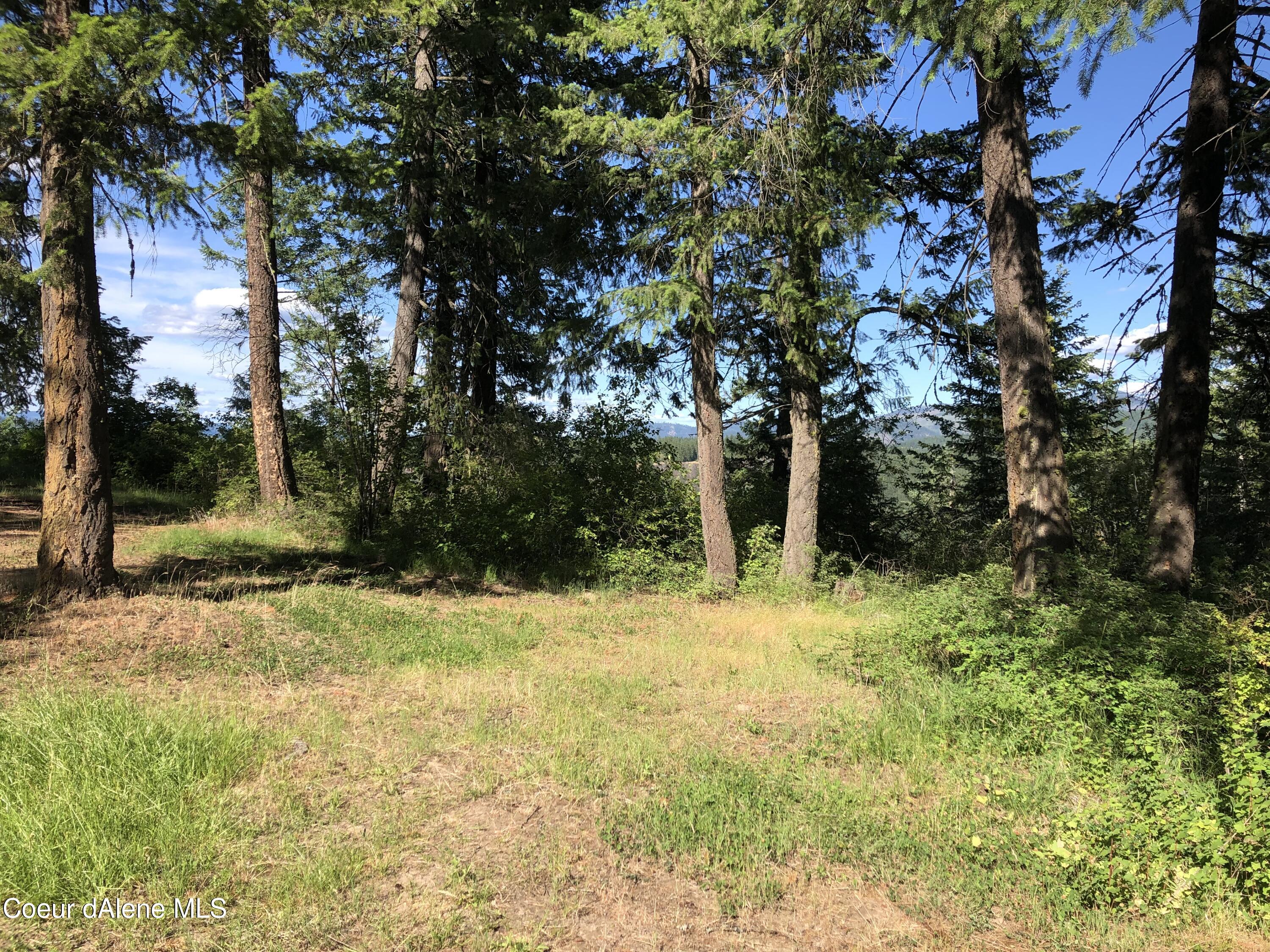 4-5 South Rufus Trail St. Maries, ID 83861 - Photo 3 of 13 Property view