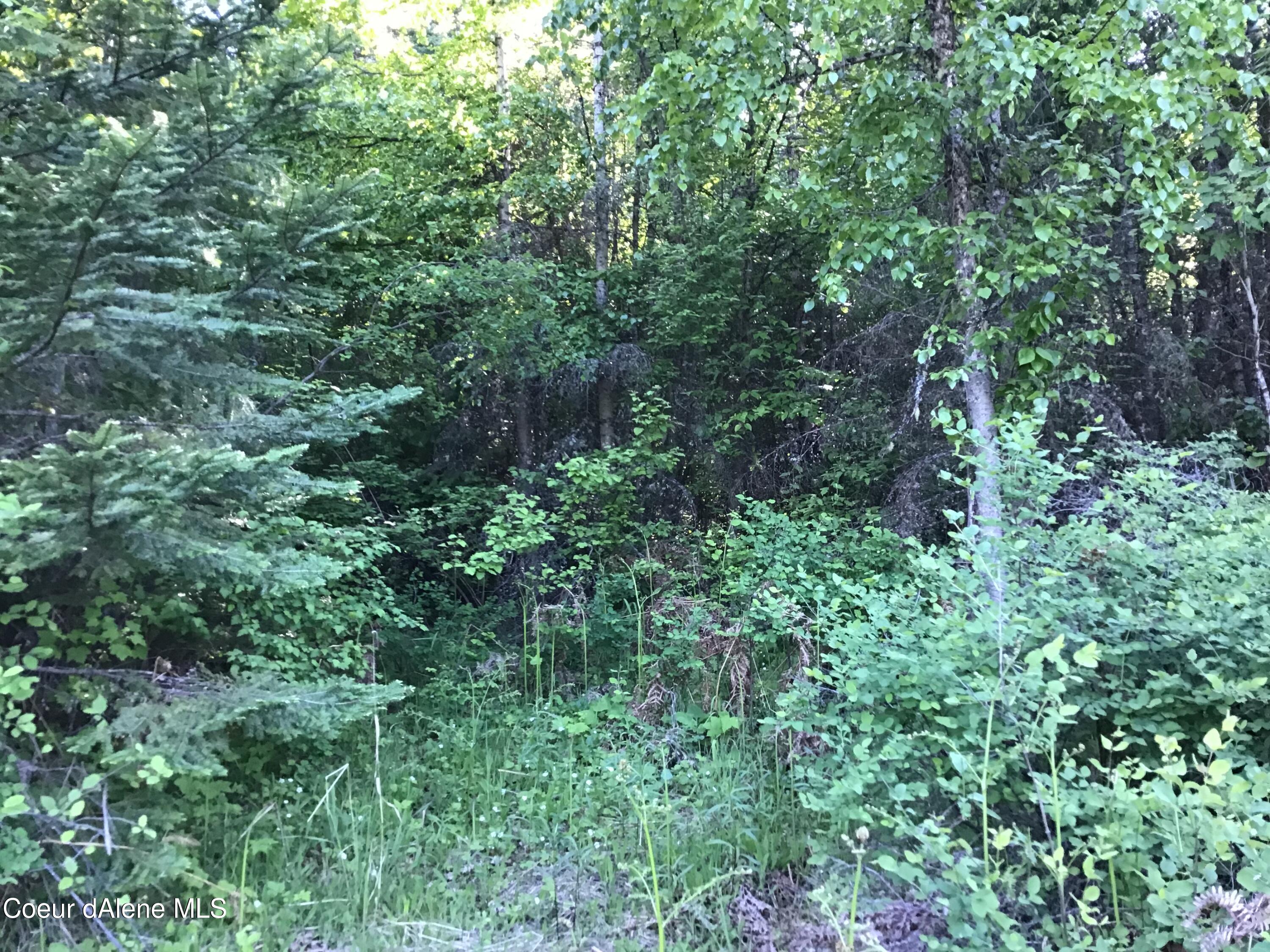 4-5 South Rufus Trail St. Maries, ID 83861 - Photo 5 of 13 Property views