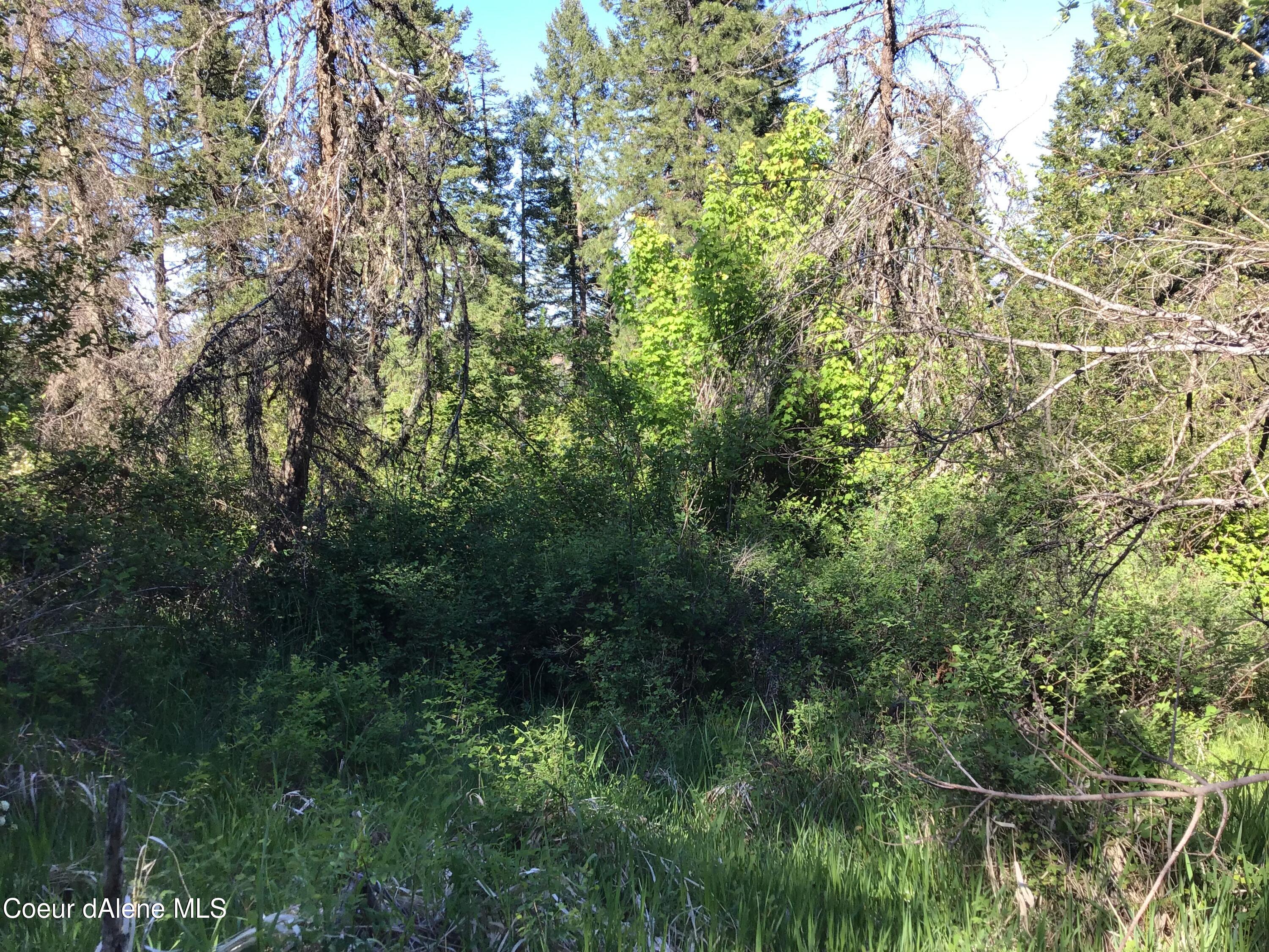 4-5 South Rufus Trail St. Maries, ID 83861 - Photo 6 of 13 Property views