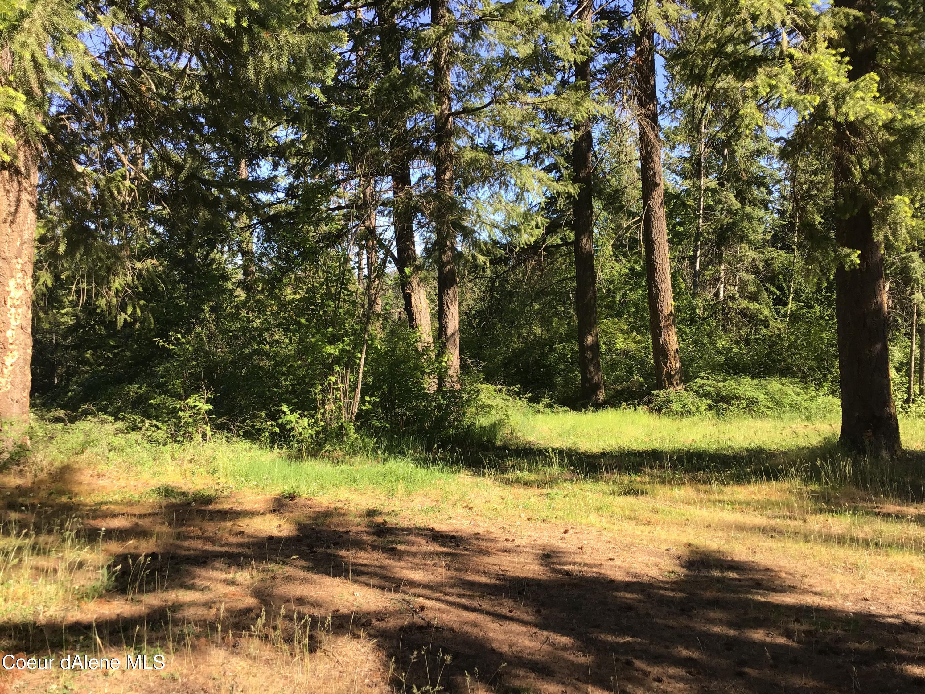 4-5 South Rufus Trail St. Maries, ID 83861 - Photo 7 of 13 Nicely treed