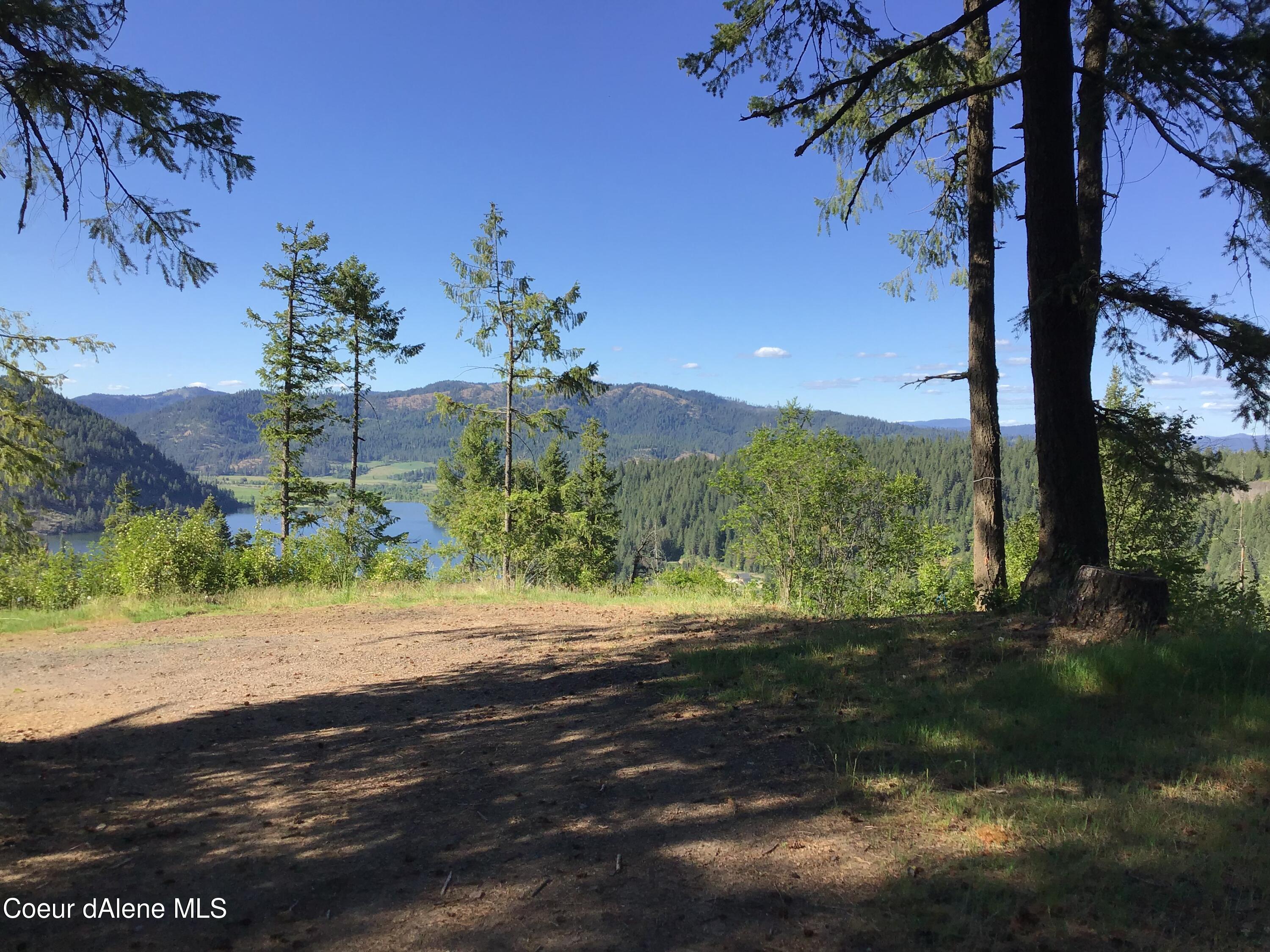 4-5 South Rufus Trail St. Maries, ID 83861 - Photo 8 of 13 Access road