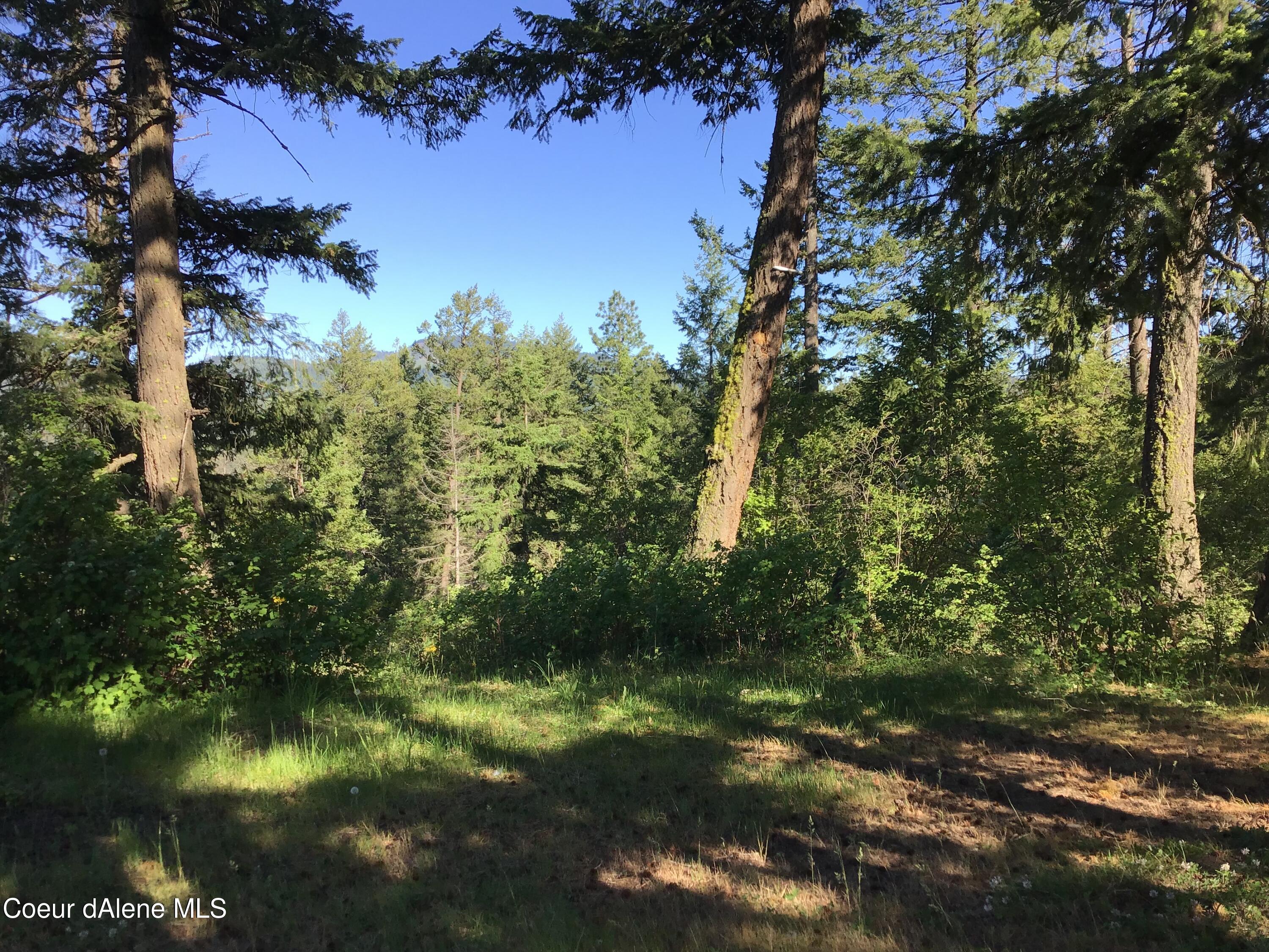 4-5 South Rufus Trail St. Maries, ID 83861 - Photo 9 of 13 Property views