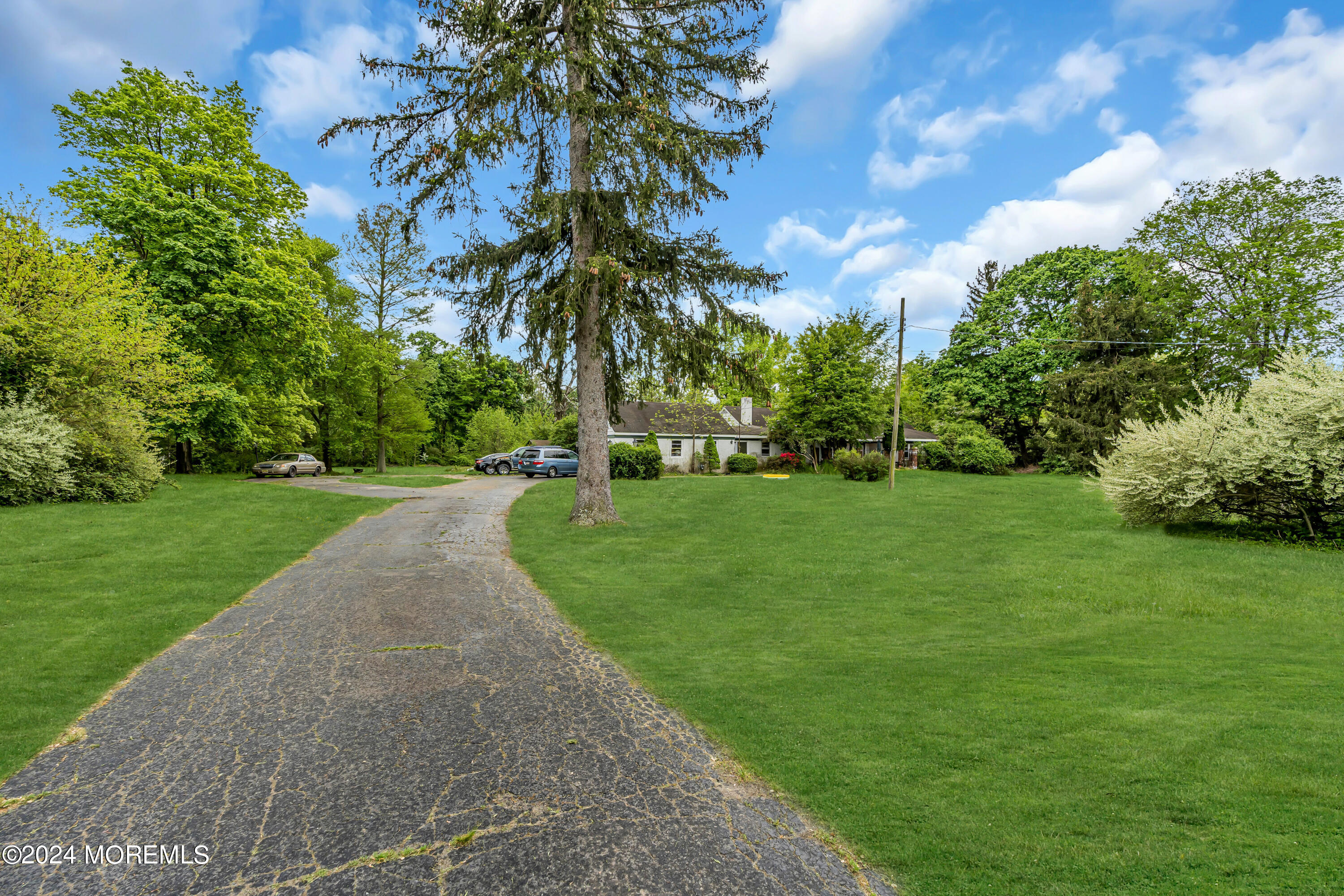 707 Rosedale Road Princeton, NJ 08540 - Photo 9 of 20 a view of a park with palm trees