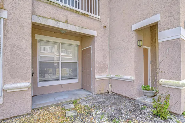 a view of a lake with a large trees