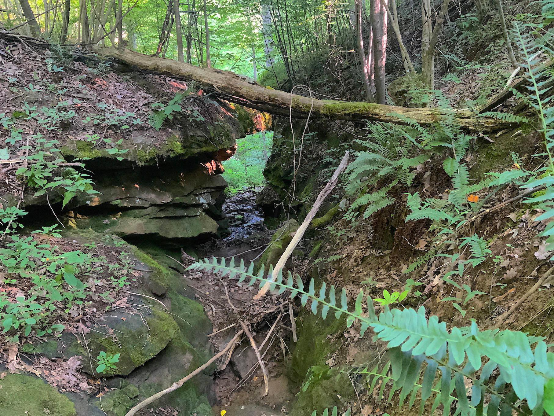 0 Two Mile Run Road Cutler, OH 45724 - Photo 1 of 44 Gallery Image 1