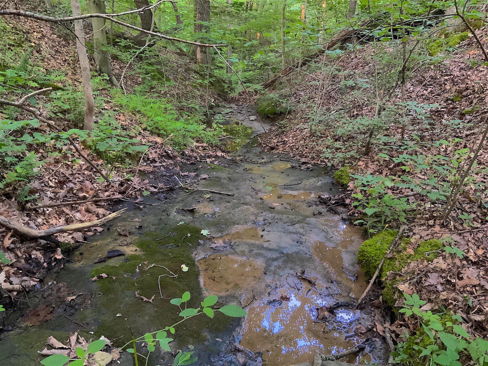 0 Two Mile Run Road Cutler, OH 45724 - Photo 14 of 44 Gallery Image 14