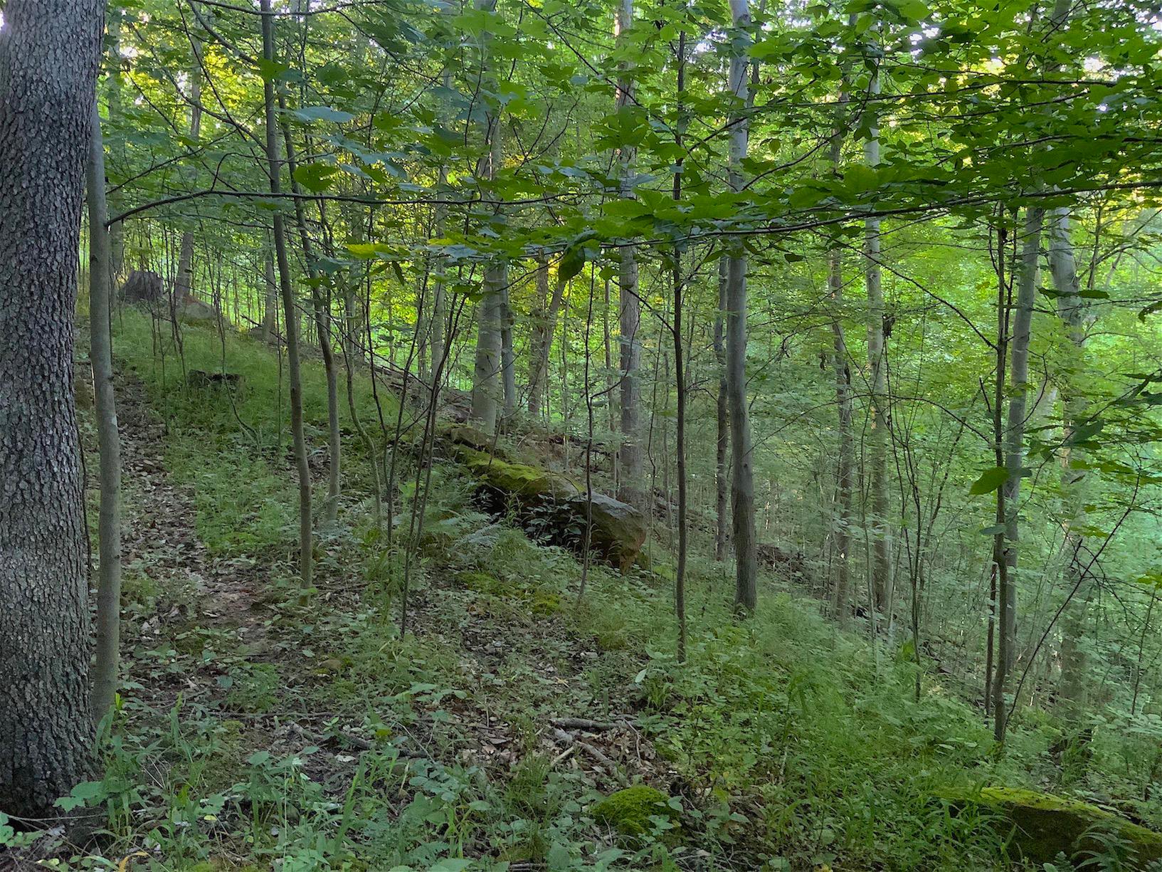 0 Two Mile Run Road Cutler, OH 45724 - Photo 19 of 44 Gallery Image 19