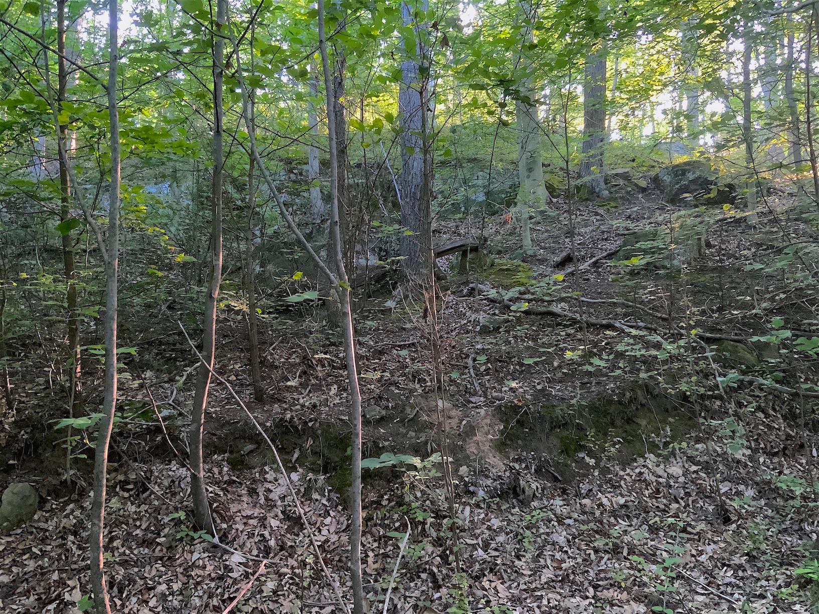 0 Two Mile Run Road Cutler, OH 45724 - Photo 20 of 44 Gallery Image 20