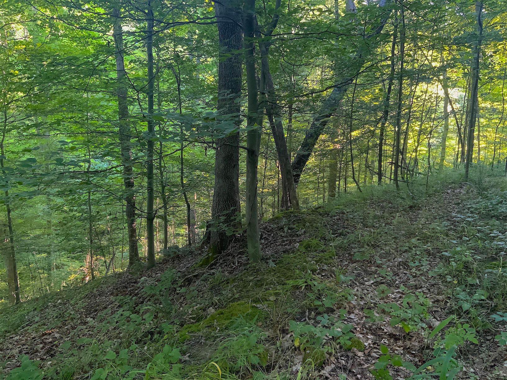 0 Two Mile Run Road Cutler, OH 45724 - Photo 25 of 44 Gallery Image 25