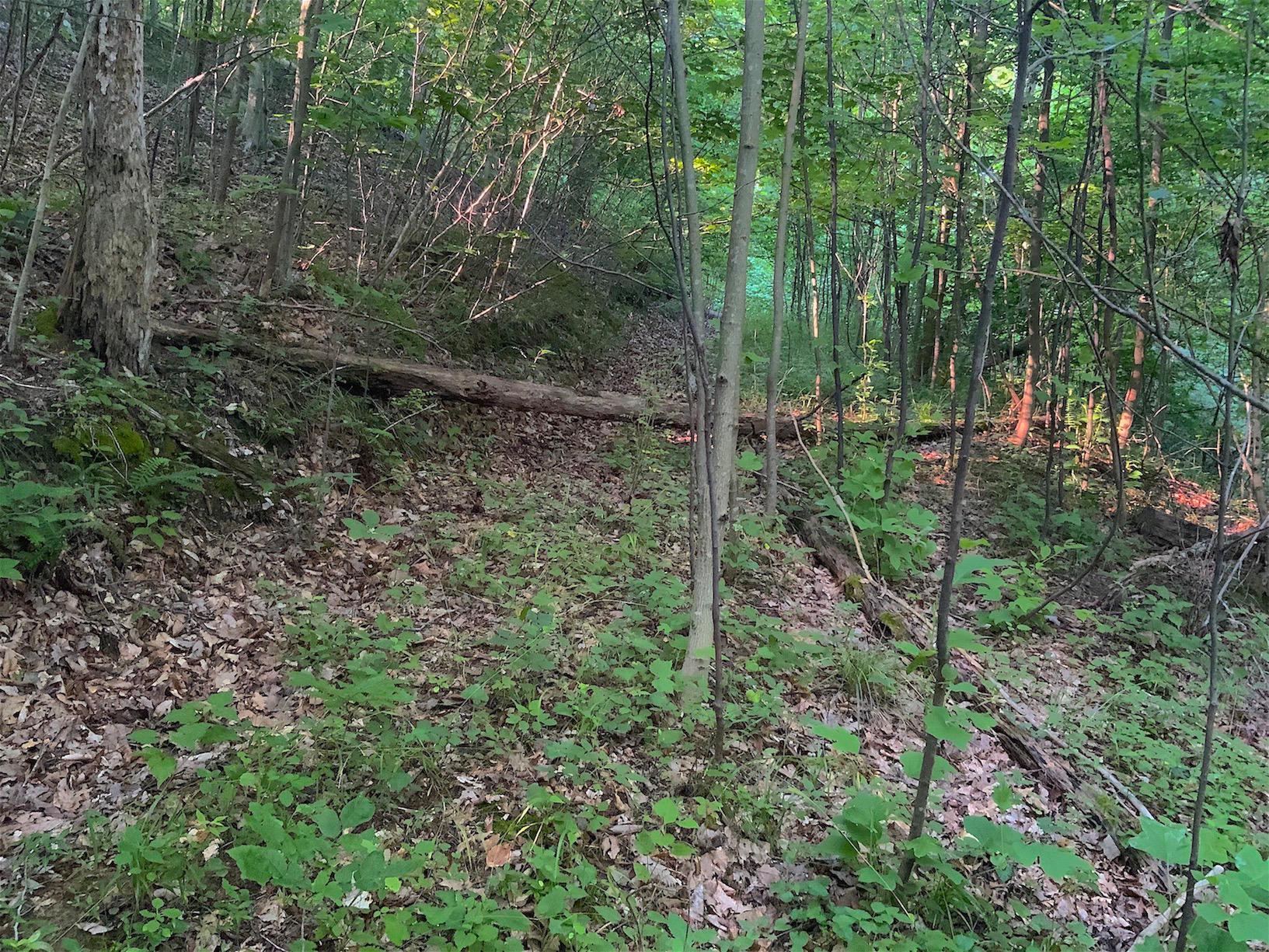 0 Two Mile Run Road Cutler, OH 45724 - Photo 26 of 44 Gallery Image 26