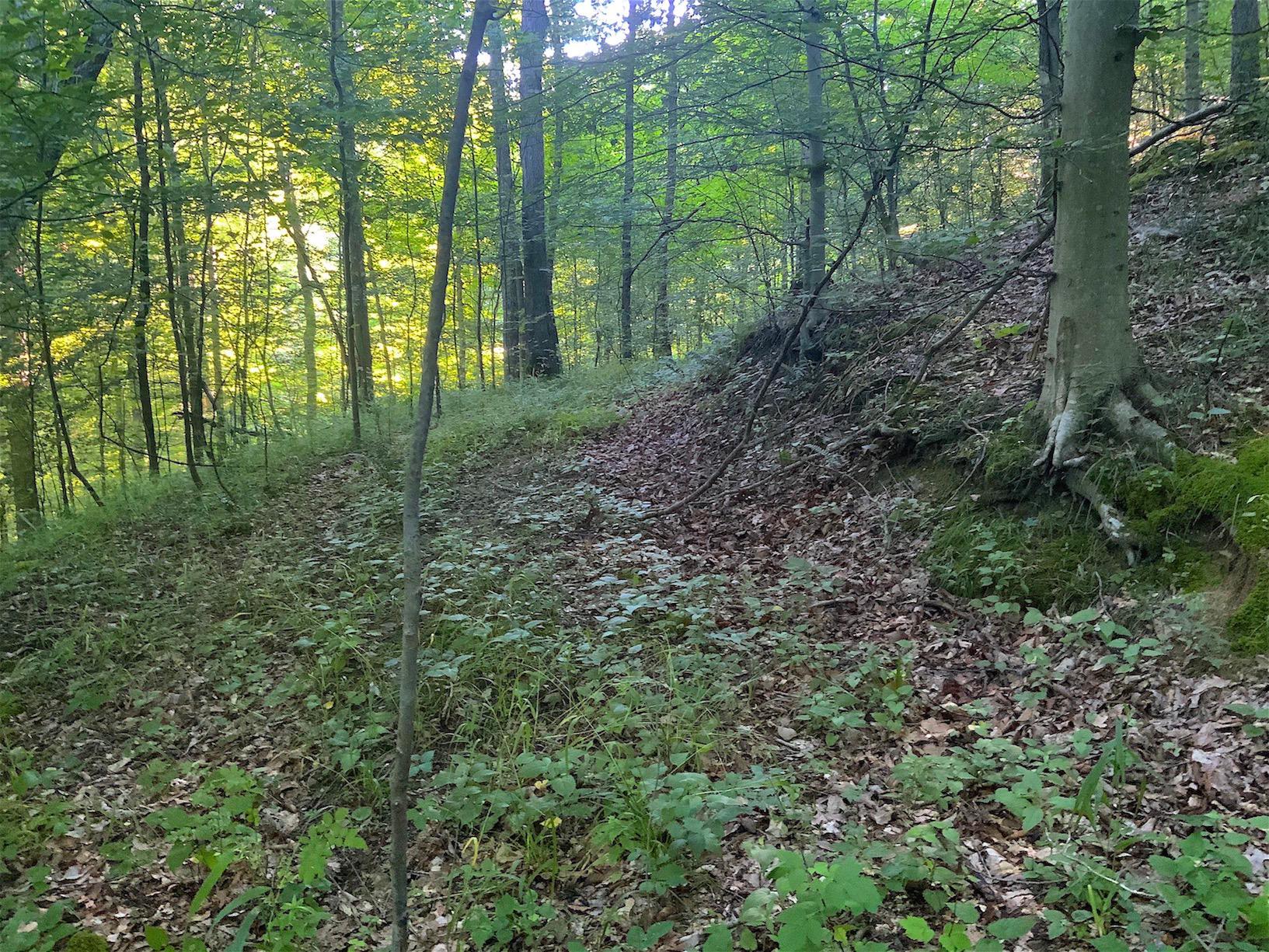 0 Two Mile Run Road Cutler, OH 45724 - Photo 27 of 44 Gallery Image 27