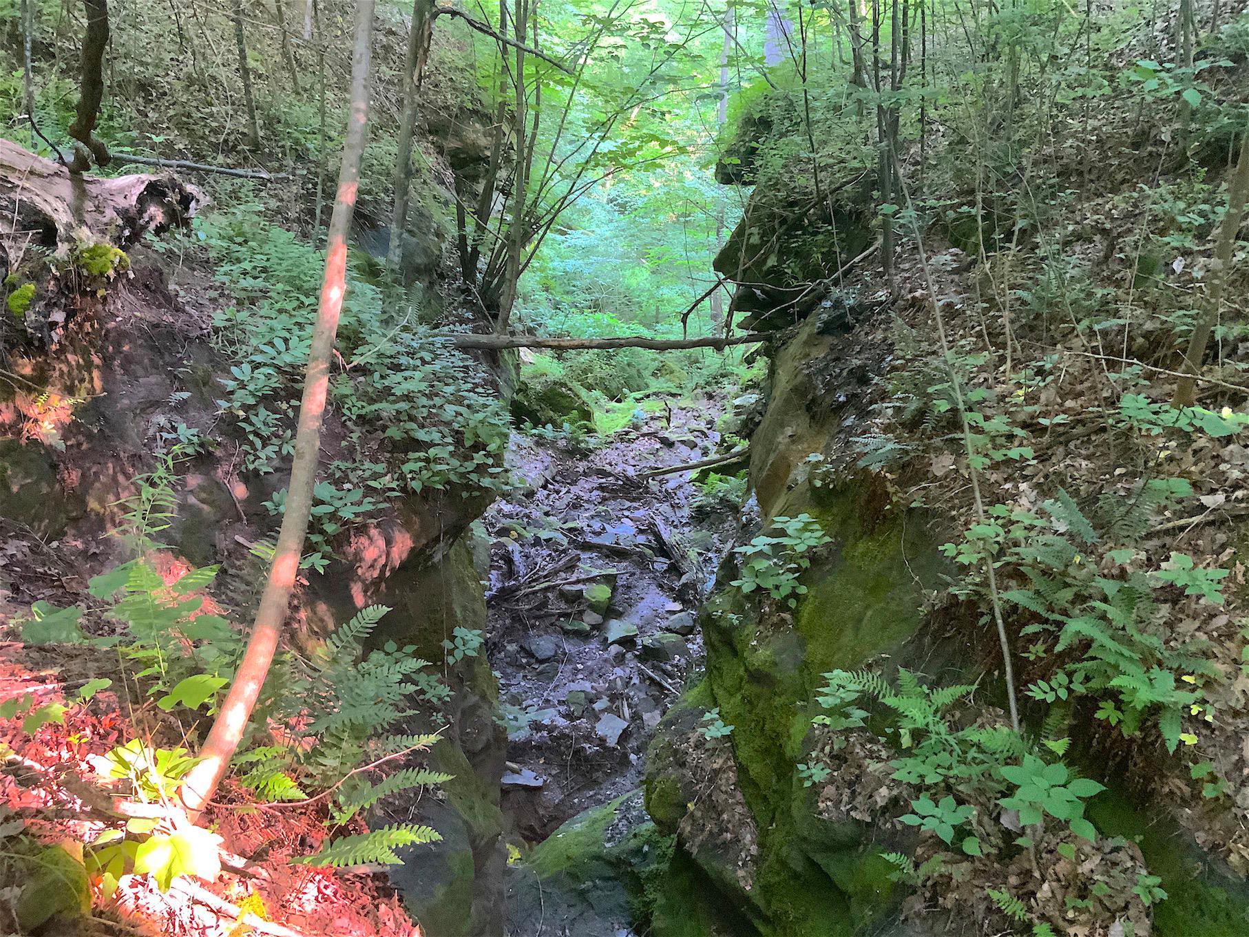 0 Two Mile Run Road Cutler, OH 45724 - Photo 41 of 44 Gallery Image 41